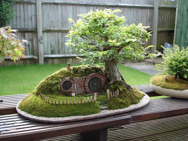 A Bonsai Baggins Hobbit Home By Chris Guise