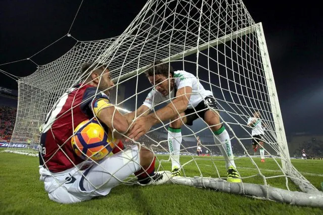 Sassuolo's forward Alessandro Matri is helped up after scoring the goal that tied the game during the Italian series A soccer match between Bologna Fc vs Sassuolo at “Dall'Ara” stadium in Bologna, Italy, October 23, 2016. (Photo by Giorgio Benvenuti/EPA)