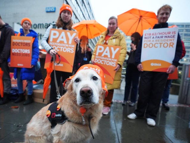 NHS resident doctors outside St Thomas' Hospital in London on Friday, November 14, 2025, as thousands of resident doctors go on strike across England in a dispute over pay. The five-day action is the 13th walkout by doctors since March 2023, with the last strike in July estimated to have cost the health service £300 million. Resident doctors make up around half the medical workforce in the NHS and have up to eight years' experience working as a hospital doctor or three years as a GP. (Photo by James Manning/PA Images via Getty Images)
