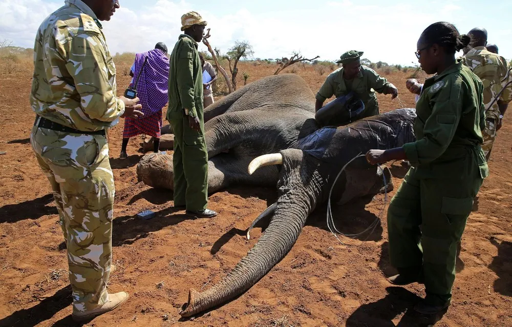 The Day in Photos – November 3, 2016, Part 2/2