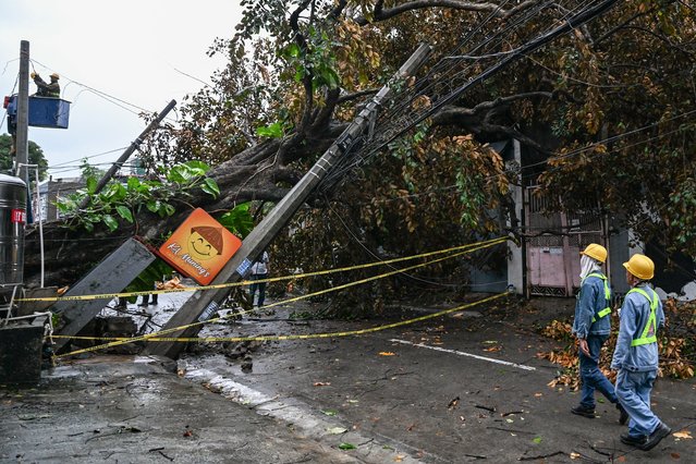 Workers inspect a fallen post and a tree along a street in Quezon City, Metro Manila on November 10, 2025, in the aftermath of Super Typhoon Fung-wong. A weakening Typhoon Fung-wong departed the Philippines over the South China Sea on the morning of November 10, after its driving winds and heavy rain killed at least two people and forced more than a million to evacuate. (Photo by Jam Sta Rosa/AFP Photo)