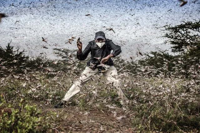 In this image released by World Press Photo, Thursday April 15, 2021, by Luis Tato for The Washington Post, part of a series titled Locust Invasion in East Africa which won third prize in the Nature Stories category, shows Henry Lenayasa, chief of the settlement of Archers Post, in Samburu County, Kenya, tries to scare away a massive swarm of locusts ravaging grazing area, on 24 April 2020. Locust swarms devastated large areas of land, just as the coronavirus outbreak had begun to disrupt livelihoods. (Photo by Luis Tato for The Washington Post, World Press Photo via AP Photo)