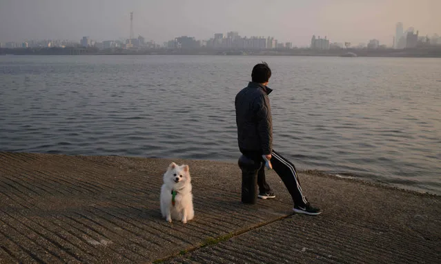 A man and dog sit on a pier before the Han river in Seoul on March 25, 2018. South Korea is bracing for days of poor air quality as rising seasonal temperatures and an unfavourable wind direction threatens to compound local pollution, resulting in government issued “fine dust” warnings with air quality monitoring websites reporting PM 2.5 levels of over 200, or “unhealthy” – eight times higher than the guideline limit for 24- hour exposure advised by the World Health Organisation (WHO). (Photo by Ed Jones/AFP Photo)