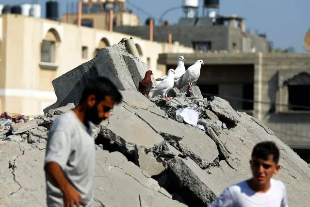 Birds perch on rubble as Palestinians look for casualties following an Israeli strike on a house, in Khan Younis, in the southern Gaza Strip on October 25, 2023. (Photo by Ibraheem Abu Mustafa/Reuters)