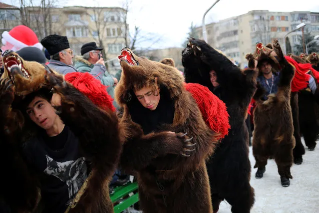 Dancers wearing costumes made of bearskins dance in the town of Comanesti, Romania December 30, 2016. (Photo by Stoyan Nenov/Reuters)