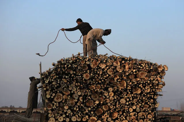 Workers tie a rope to a pile of freshly cut wood loaded on a truck in Peshawar, Pakistan January 16, 2019. (Photo by Fayaz Aziz/Reuters)