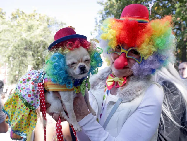 Dogs and humans dressed in all manner of costume participate in the 32nd Annual Tompkins Square Halloween Dog Parade inside Tompkins Square Park on October 22, 2022 in New York City. (Photo by Andrew Schwartz/Splash News and Pictures)