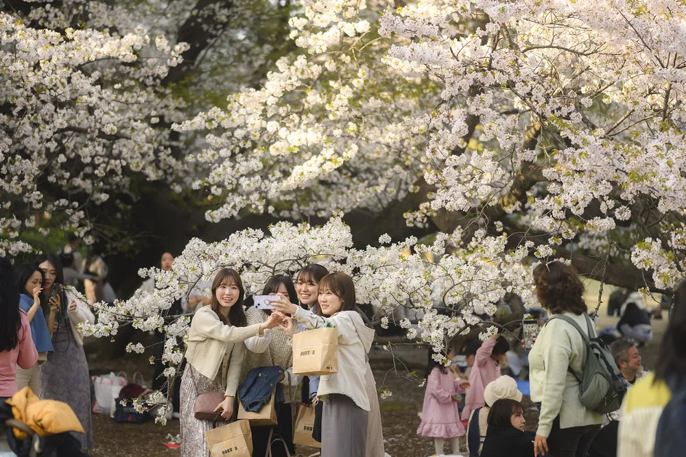 A Look at Life in Japan