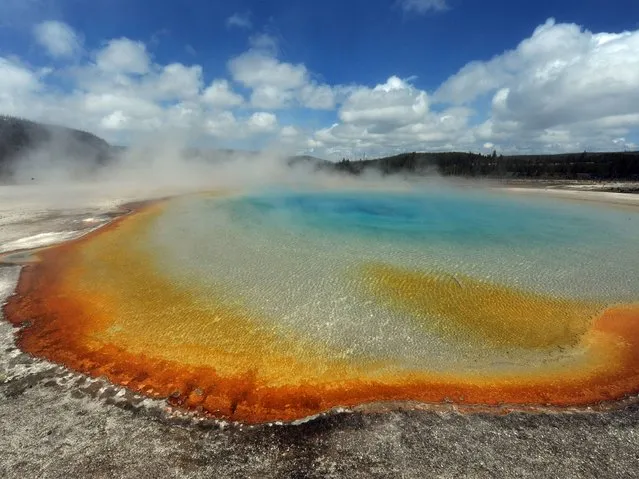 View of the “Sunset Lake” hot spring with it's unique colors caused by brown, orange and yellow algae-like bacteria called Thermophiles, that thrive in the cooling water turning the vivid aqua-blues to a murkier greenish brown, in the Yellowstone National Park, Wyoming on June 1, 2011. (Photo by Mark Ralston/AFP Photo)