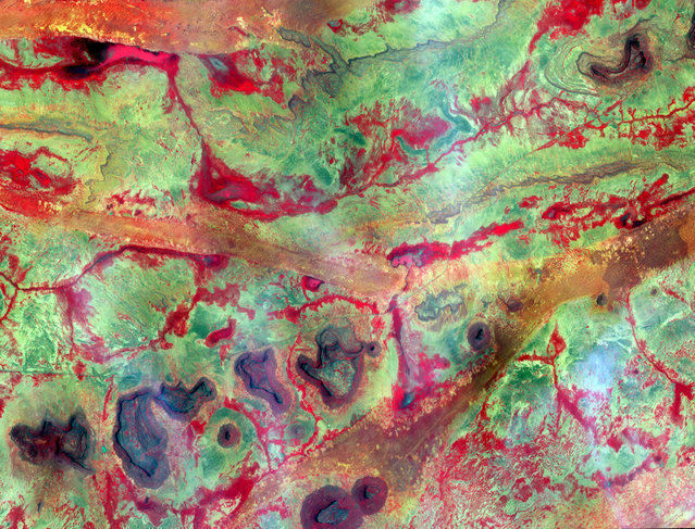 Micro or Macro? It's macro: this image is a satellite photograph of central Mali, in Saharan Africa, processed to show heat and photosynthesis. (Photo by S. Young)