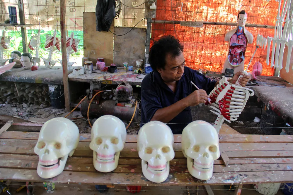 Indonesia's Medical Mannequin Industry