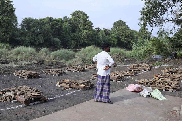 A man stands next to piles of wood arranged for the mass cremation of people, who died after drinking illegally brewed liquor, in Kallakurichi district of the southern Indian state of Tamil Nadu, India, Thursday, June 20, 2024. The state's chief minister M K Stalin said the 34 died after consuming liquor that was tainted with methanol, according to the Press Trust of India news agency. (Photo by R. Parthibhan/AP Photo)