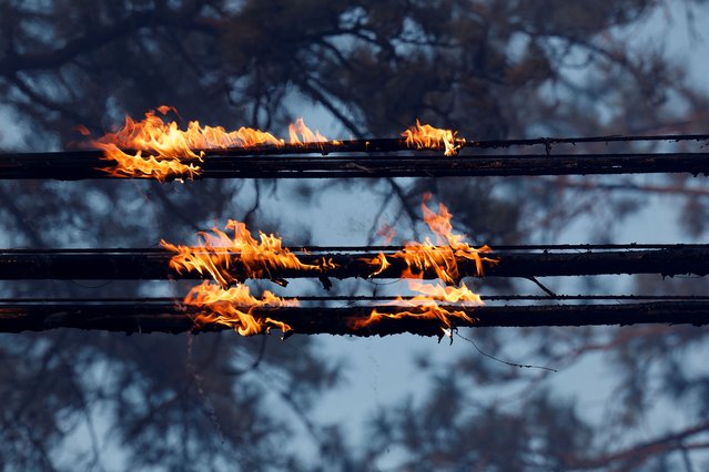 Burning PG&E power lines are seen after the Park Fire tore through Forest Ranch, California on July 25, 2024. (Photo by Fred Greaves/Reuters)