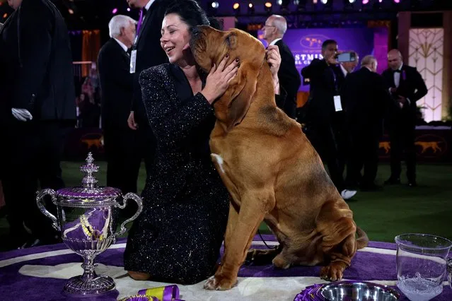 Trumpet, a Bloodhound, kisses his handler Heather Helmer after winning “Best in Show” at the 146th Westminster Kennel Club Dog Show at the Lyndhurst Estate in Tarrytown, New York, U.S., June 22, 2022. (Photo by Mike Segar/Reuters)