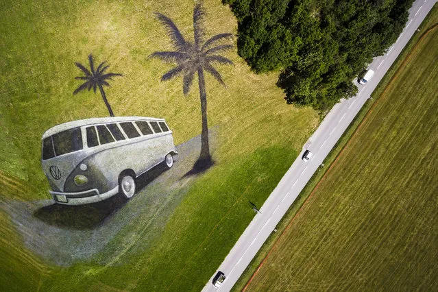 A land art painting by French artist Saype, depicting a Volkswagen (VW) bus, is pictured on a hill in Chateau d'Oex, Switzerland, Wednesday, August 23, 2017. The artwork covering approximately 4200 square meters was produced with over 400 liters of biodegradable paint made from natural pigments, water and a milk protein and is part of the upcoming 20th international VW festival. (Photo by Valentin Flauraud/Keystone via AP Photo)