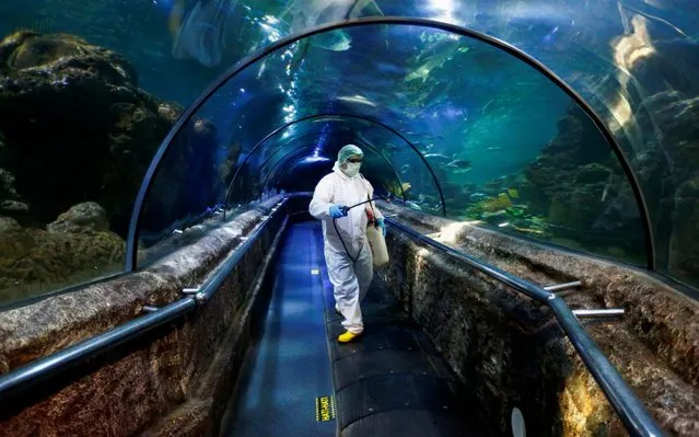 An employee in protective gears sprays disinfectant at the main exhibition tank at the Sea World at Jaya Ancol Dream Park as it is closed for public in the wake of coronavirus outbreak in Jakarta, Indonesia, Saturday, March 14, 2020. Indonesia's capital city announced a lockdown of all tourist destinations and entertainment spots as well as the closing all of its public schools for the next 14 days amid the global outbreak. For most people, the new coronavirus causes only mild or moderate symptoms. For some it can cause more severe illness. (Photo by Ajeng Dinar Ulfiana/Reuters)