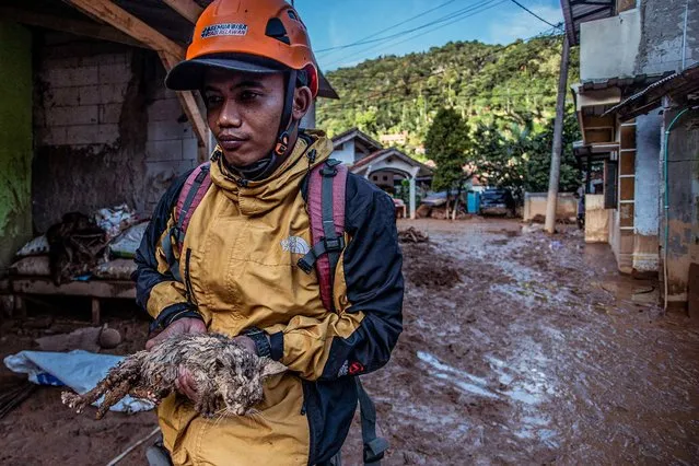 A rescuer helps a cat after a flash flood triggered by heavy rains hit residential areas in Purasari village in Bogor on June 24, 2022. (Photo by Aditya Aji/AFP Photo)