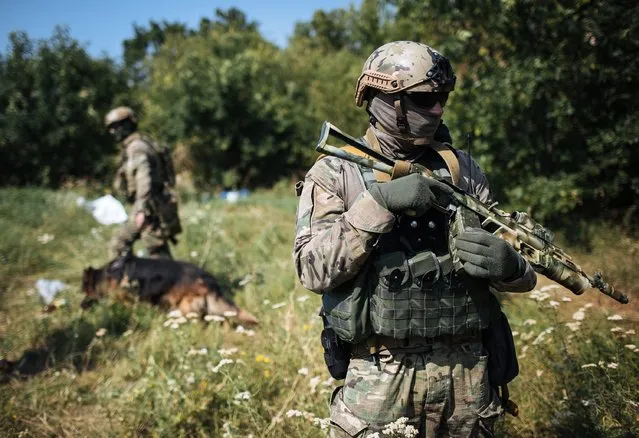 Ukrainian soldiers of a special teamand their dog monitor the area after they found explosive device near the eastern Ukrainian city of Debalcevo, in Ukraine, 16 August 2014. (Photo by Roman Pilipey/EPA)
