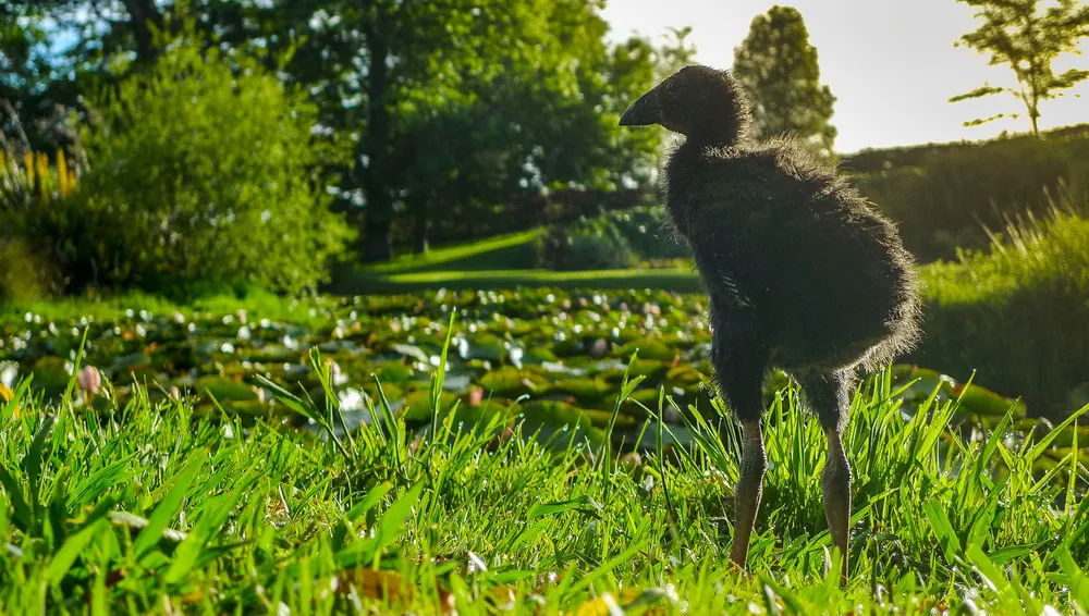 New Zealand: Earth’s Mythical Islands