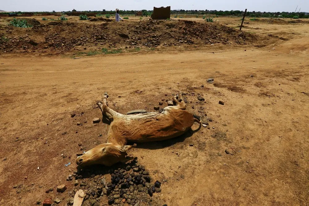 A Look at Life in Sudan