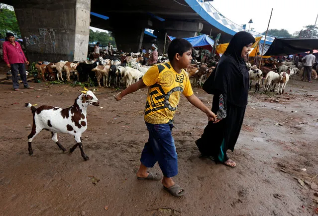 A boy and his mother leave a livestock market after purchasing a goat ahead of the Eid al-Adha festival in Kolkata, India, September 8, 2016. (Photo by Rupak De Chowdhuri/Reuters)