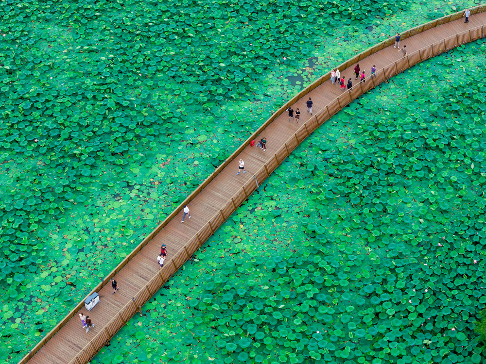 A Look at Life in China