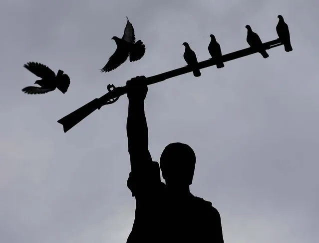 Birds roost on the rifle portion of a Benjamin Milam statute at dusk in San Antonio, Texas on January 28, 2013. Milam was a leading figure in the Texas Revolution. (Photo by Eric Gay/Associated Press)