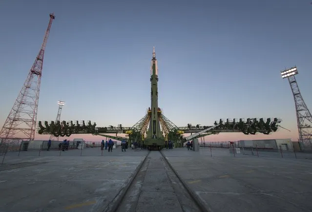 The Soyuz TMA-15M spacecraft is set on its launch pad at the Baikonur cosmodrome November 21, 2014. The Soyuz is scheduled to blast off with Anton Shkaplerov of Russia, Terry Virts of the U.S. and Samantha Cristoforetti of Italy to the International Space Station on November 24, 2014. (Photo by Shamil Zhumatov/Reuters)