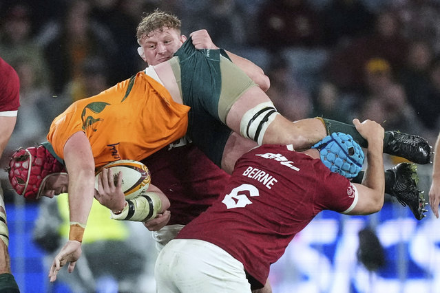Australia's Harry Wilson is tackled by Tadhg Beirne, right, and Jac Morgan of the British & Irish Lions during the third and final rugby union test between the Lions and the Wallabies in Sydney, Australia, August 2, 2025. (Photo by Mark Baker/AP Photo)