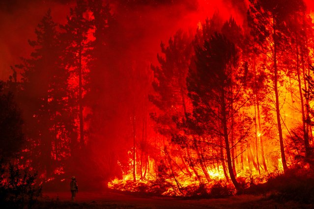 Fire fighters battle a forest fire near Paredes, Vila Real, Portugal, 12 August 2025. Hundreds of personnel were engaged in fighting the three most serious fires in the region, which are raging in Vila Real, Tabuaço and Trancoso. (Photo by Pedro Sarmento Costa/EPA)