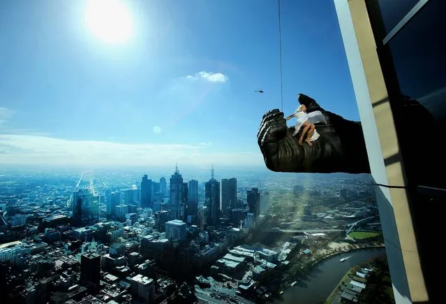 Stuntwoman Leigh-Anne Vizer is held by a 15 foot King Kong hand almost 1,000 feet above the city of Melbourne during a “King Kong” production photo call at Eureka Skydeck, on May 21, 2013. Eureka Skydeck gave permission for the construction of the large Kong hand to offer visitors the King Kong Experience at Eureka Sydeck over the next 9 months. (Photo by Scott Barbour/Getty Images)