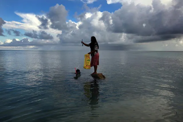 Binata Pinata stands on top of a rock holding a fish her husband Kaibakia just caught off Bikeman islet, located off South Tarawa in the central Pacific island nation of Kiribati May 25, 2013. (Photo by David Gray/Reuters)