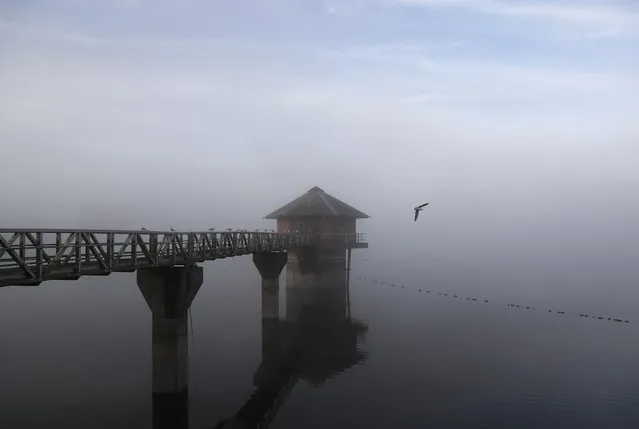 Morning mist sits over the Cropston Reservoir in Britain, October 3, 2016. (Photo by Darren Staples/Reuters)