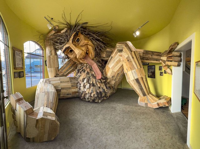 Renowned Danish artist Thomas Dambo (not in frame) has just completed his first California Troll sculpture made from recycled wood pallets, wine barrels, and other found materials as viewed on January 31, 2025, in Solvang, California. Constructed in the Tower Gallery at the California Nature Art Museum over a 10-day period, this is Dambo's first indoor Troll among the more than 150 sculptures he has created in the United States and around the globe. (Photo by George Rose/Getty Images)
