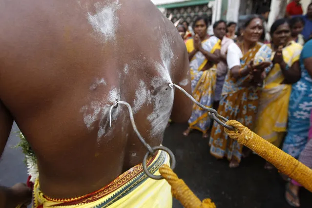 A Hindu devotee, his body pierced with metal hooks, pulls a chariot carrying a deity of Hindu god Lord Murugan during a religious procession marking Thaipusam festival in Chennai, India, Tuesday, February 3, 2015. (Photo by Arun Sankar K./AP Photo)
