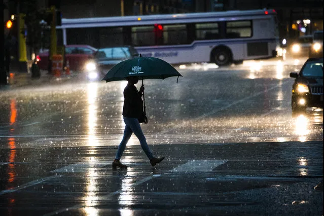 A pedestrian crosses South 6th Street in the rain in downtown Minneapolis, Thursday, July 12, 2018. Powerful overnight storms dumped significant amounts of rain in northeast and east-central Minnesota, leading to floods and washed-out roads in some areas. (Photo by Leila Navidi/Star Tribune via AP Photo)