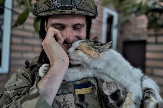 A Ukrainian policeman of special police unit pets a cat at the front line, near Kreminna, Luhansk region, Ukraine, Friday, July 7, 2023. (Photo by Libkos/AP Photo)