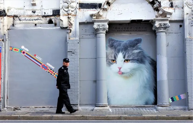 A police officer walks past  cat mural during the Bund Art Festival, in Shanghai, China, 16 May 2023. Shanghai became a magnet for selfie tourists as a Shanghai-born cartoonist covered Fangbang Middle Road with cat murals. Gao Youjun, also known as Tango, has covered one of the oldest streets with more than 30 images of pet cats owned by local families. Additionally, Tango painted about 30 cartoons on the walls as part of the Bund Art Festival, which features international and Chinese artwork. (Photo by Alex Plavevski/EPA/EFE/Rex Features/Shutterstock)