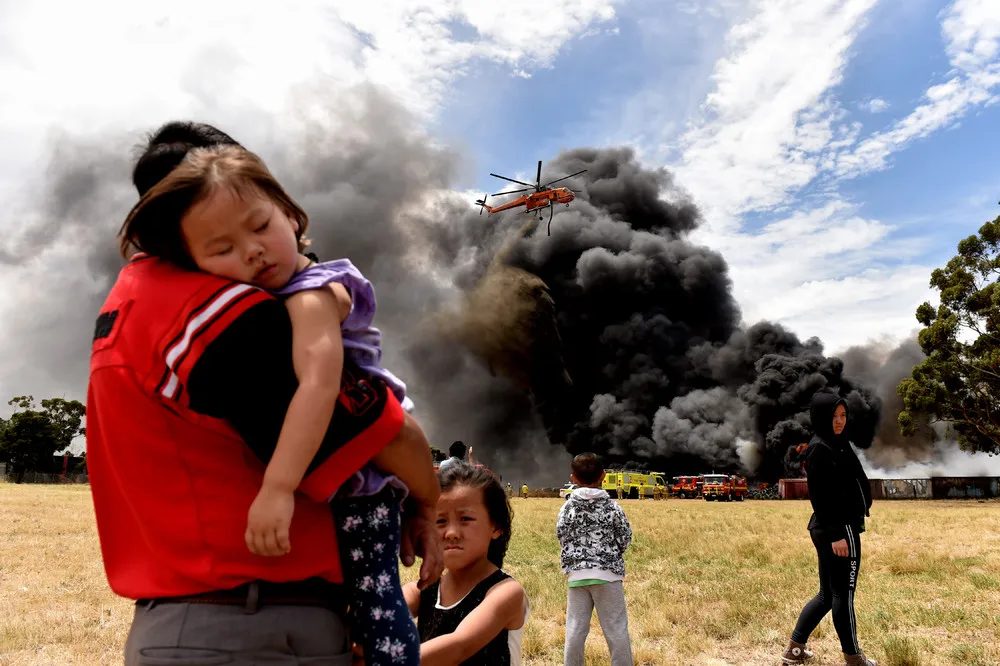 The Day in Photos – January 12, 2016