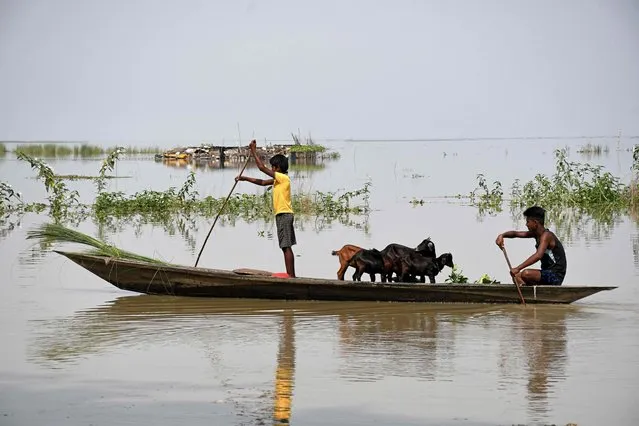 Young boys ferry cattle on a boat in a flood affected village in Marigaon district on August 29, 2023. (Photo by Biju Boro/AFP Photo)
