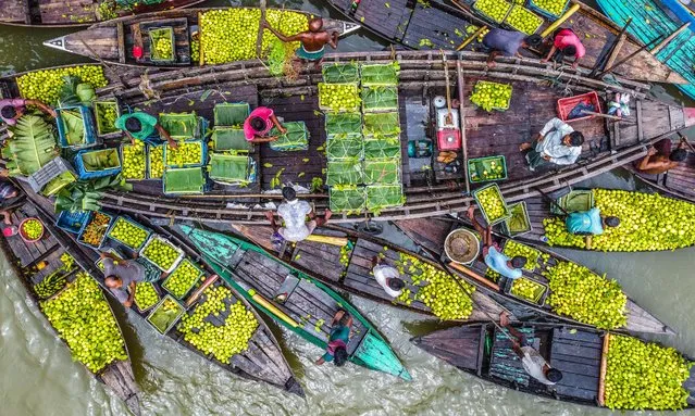 Floating Guava Market in Barishal on August 8, 2023. Among some of the most fascinating things in the Southwestern region of Bangladesh is the beautiful Floating Guava Market of Swarupkathi of Pirojpur in Barishal Division. The guava was a culinary hit with the locality and its fame gradually spread across the country. Today guava is cultivated in five unions of Swarupkathi (presently known as Nesarabad) across 640 hectares of land. Every day, thousand of tons of guavas are supplied all across the country. Boats are the main transportation for supplying. Farmers carry the guavas onto the boats from the river-adjacent orchards. There are hundreds of boats filled with guava and all the trades occur on boats. The floating market appears as the centre of Barishal. (Photo by Mustasinur Rahman Alvi/Rex Features/Shutterstock)