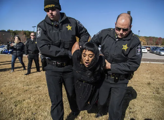 A demonstrator is arrested after Samuel Oliver-Bruno, 47, an undocumented Mexican national, was arrested after arriving at an appointment with immigration officials, in Morrisville, N.C., Friday, November 23, 2018. He had been living in CityWell United Methodist Church in Durham since late 2017 to avoid the reach of immigration officers, who generally avoid making arrests at churches. (Photo by Travis Long/The News & Observer via AP Photo)