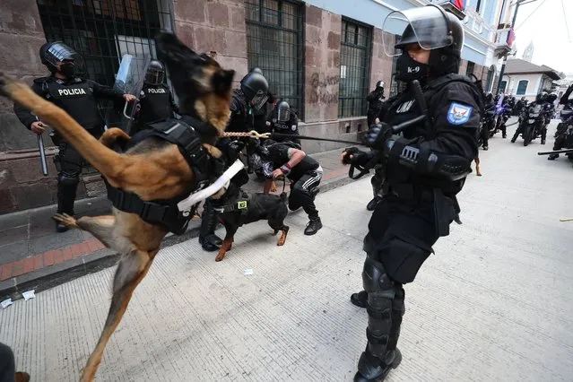 Police officers with dogs clash with demonstrators during a protest against the high cost of basic goods and the monthly increase in oil prices in Quito, Ecuador, 11 August 2021. The Workers Unitary Front called the demonstration not only in Quito but also in the country's main cities. (Photo by Jose Jacome/EPA/EFE)