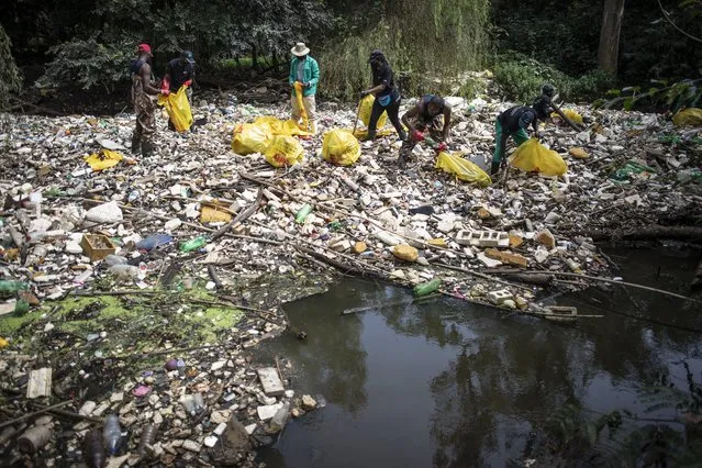 Volunteers wear protective equipment and masks on a floating island of trash in the middle of a river as they help to clean up the Hennops River of trash in Pretoria, South Africa, 15 February 2021. The floating island is called 'Polly Island' as it is made up almost entirely by floating polystyrene. The river clean up is part of the ongoing work by NPO Hennops Revival which cleans the area at the Hennops River of trash. Once the trash is removed from the river parts of it are recycled while those parts of it that are not recyclable are taken to the dump. (Photo by Kim Ludbrook/EPA/EFE)