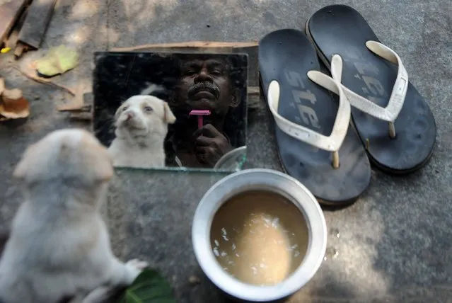 A homeless Indian man and his puppy are reflected in a mirror as he shaves himself on a street in Chennai, Tamil Nadu on March 9, 2017. (Photo by Arun Sankar/AFP Photo)