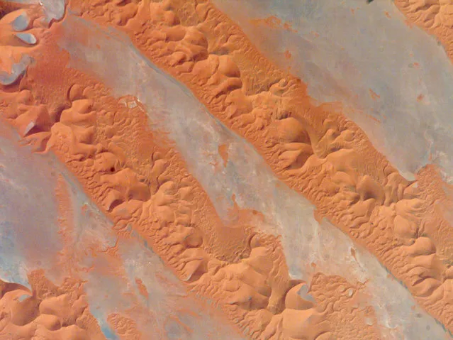 Micro or Macro? It's macro: these are sand dunes in the Erg Oriental region of Algeria, as seen from the International Space Station. (Photo by S. Young/Johnson Space Center)