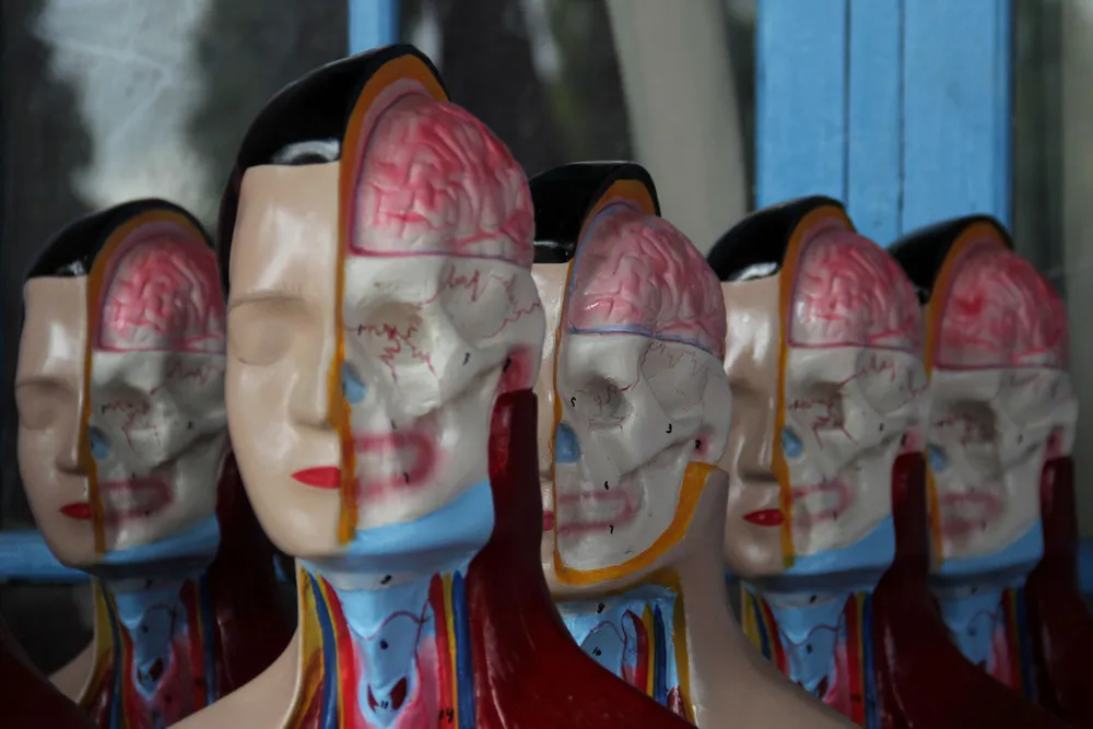 Indonesia's Medical Mannequin Industry
