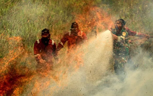 Indonesian firefighters battle a blaze at a peatland forest in Ogan Ilir, South Sumatra on September 20, 2019. Malaysia said September 19 it will raise pressure on its Southeast Asian neighbours to find a solution to recurring outbreaks of smog-belching forest fires in Indonesia, as air quality plummeted and more schools closed. (Photo by Abdul Qodir/AFP Photo)