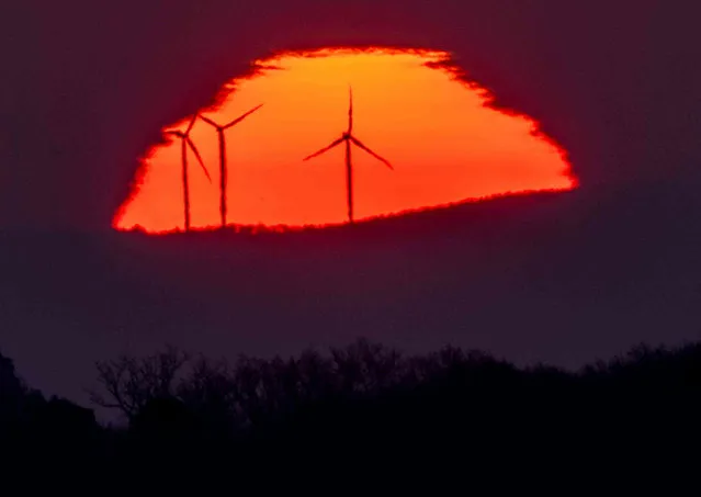Wind turbines stand in front of the rising sun in Frankfurt, Germany, Friday, March 11, 2022. (Photo by Michael Probst/AP Photo)