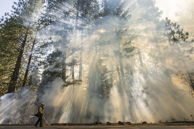 A firefighter monitors a burn operation on Highway 32 to combat the Park Fire near Forest Ranch, Calif., Sunday, July 28, 2024. (Photo by Nic Coury/AP Photo)